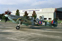 881033_Spitfire